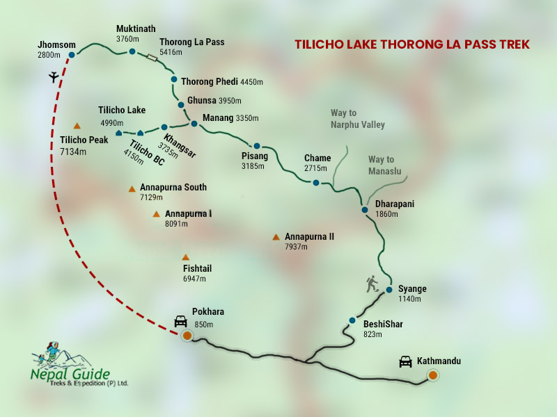Tilicho Lake Thorong La Pass Trek | Nepal Guide Treks